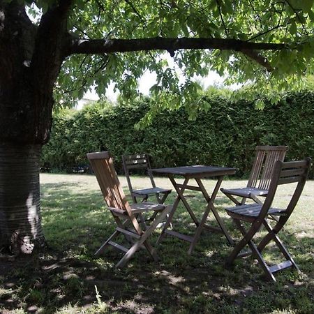 Casa Linum. U Centra Zlina S Atmosferou Venkova. 아파트 외부 사진