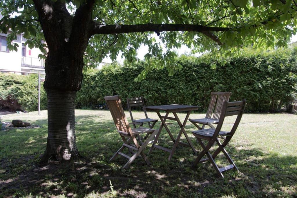 Casa Linum. U Centra Zlina S Atmosferou Venkova. 아파트 외부 사진